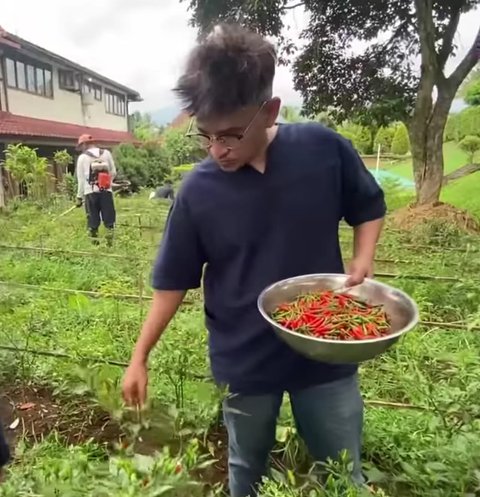 Ruben Onsu Coba Berkebun, Baru Saja Panen Cabai yang Segar