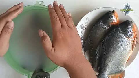 Trik Ampuh Pakai Air Beras untuk Ikan Bawal yang Segar dan Harum