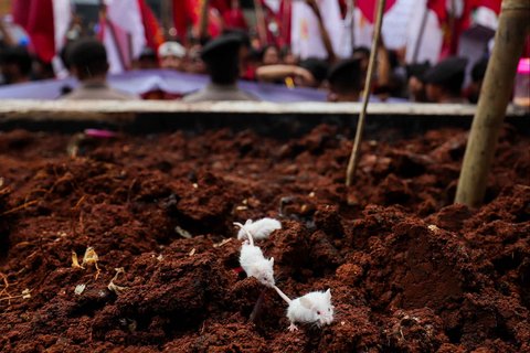 FOTO: Aksi Ratusan Mahasiswa Tuntut Penangkapan Harun Masiku, Lepas Tikus Putih ke Gedung KPK