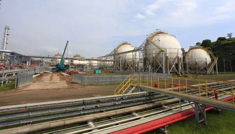 Industri Petrokimia RI Kalah Dibanding Malaysia dan Vietnam, Pengusaha Minta Hal Ini ke Pemerintah