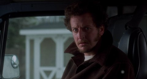 Pengakuan Menarik Daniel Stern, Pemeran Pencuri di Home Alone yang Hanya Menonton Sekali Filmnya Sejak 1990