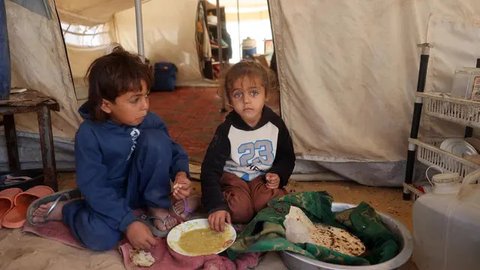 Tiga Bayi di Gaza Meninggal Karena Membeku Kedinginan di Tenda Pengungsian