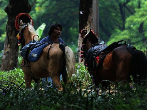 FOTO: Libur Lebaran 2024, Jasa Sewa Kuda Tunggang di Tempat Wisata Jakarta Laris Manis