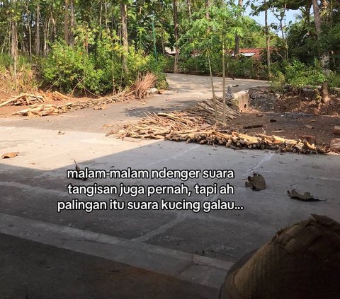 Viral Kisah Mahasiswa KKN Sendirian Selama Sebulan di Gunungkidul, Tempatnya Mirip Film KKN di Desa Penari