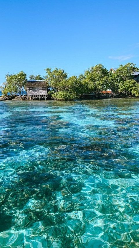 11. Kepulauan Solomon