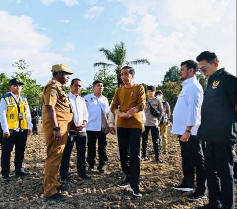 Jokowi Cari Investor untuk Proyek Food Estate