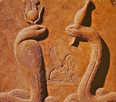 6 Animals Related to Ancient Egyptian Gods and Goddesses, Even Become Symbols
