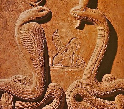 6 Hewan yang Terhubung dengan Dewa-Dewi Mesir Kuno dan Menjadi Simbol Suci