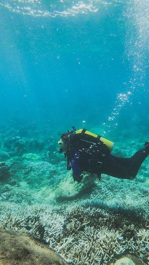 Temuan Piramida Bawah Laut dari Zaman Batu Bikin Ahli Bingung, Ada yang Menyebutnya Sisa-Sisa Atlantis