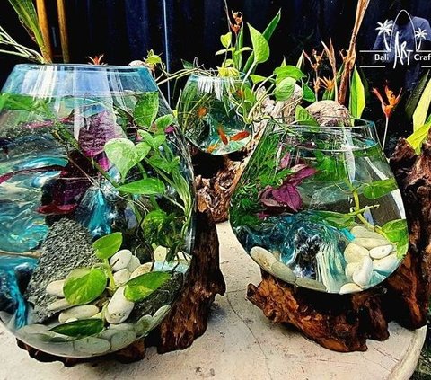 8 Mini Aquarium Design Models in the Room to Make the Space More Alive