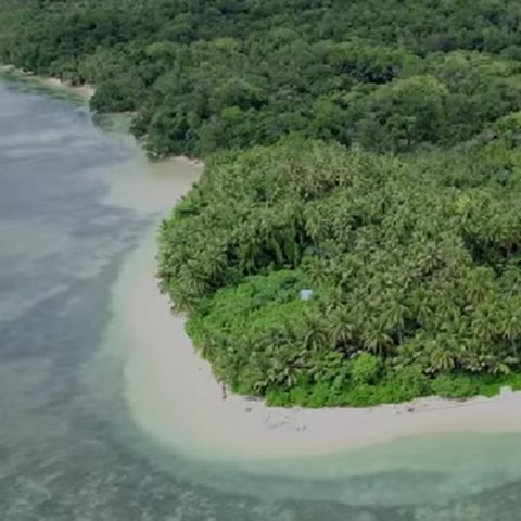 Mengunjungi Pulau Liki Papua, Air Lautnya Sangat Jernih Bisa Lihat Keindahan Bawah Laut dengan Mata Telanjang