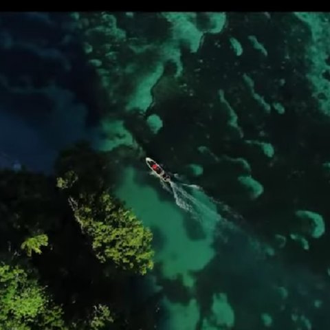 Mengunjungi Pulau Liki Papua, Air Lautnya Sangat Jernih Bisa Lihat Keindahan Bawah Laut dengan Mata Telanjang