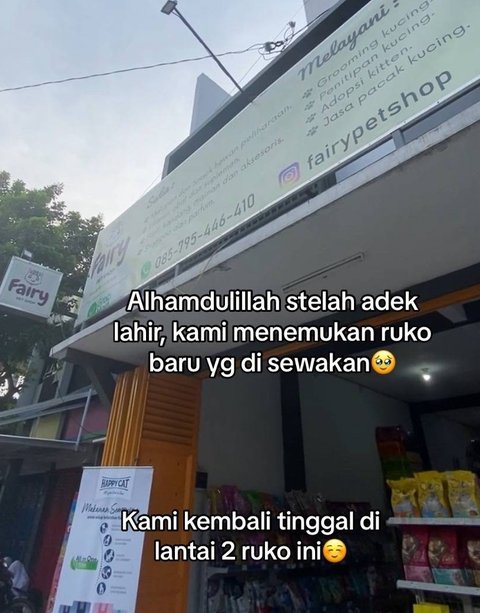 Viral Kisah Perjuangan Wanita Rintis Bisnis Petshop, Dulu Pernah Diusir dari Kontrakan Jelang Lahiran