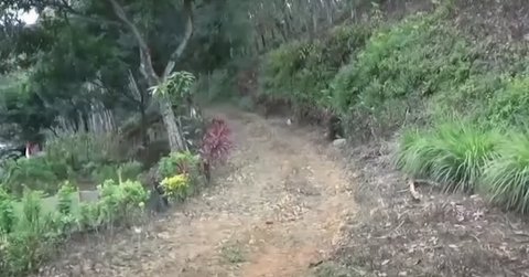 Akibat Jalan Rusak Tak Bisa Dilewati Kendaraan, Bocah Sakit Ini Terpaksa Ditandu Lewati Hutan