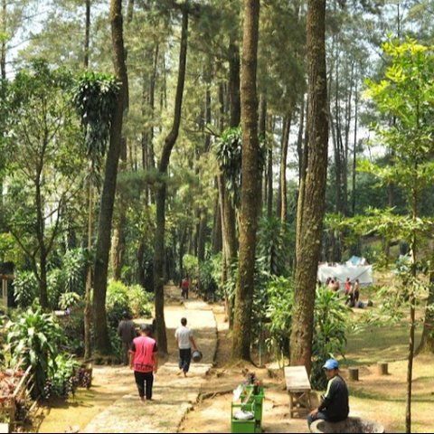 Jadi Wisata Favorit sejak 1984, Begini Rasanya Healing di Curug Cijalu yang Legendaris