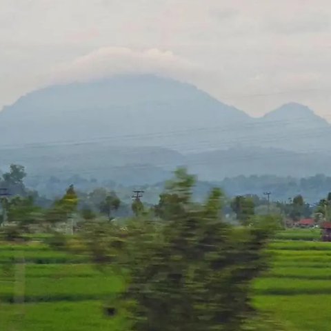 Menjelajahi Gunung Pandan Bojonegoro, Konon Dulunya Tempat Tinggal Ahli Pengobatan Alternatif yang Sangat Terkenal