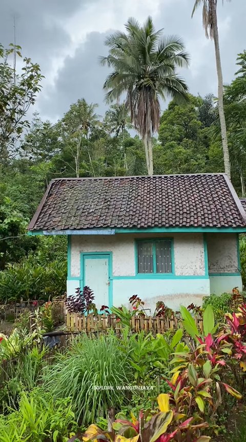 Intip Keindahan Kampung Lamping Garut yang Syahdu Selepas Hujan, Pemandangan Taman di Halaman Rumah Bikin Betah