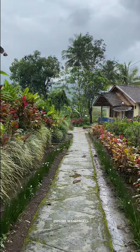 Intip Keindahan Kampung Lamping Garut yang Syahdu Selepas Hujan, Pemandangan Taman di Halaman Rumah Bikin Betah