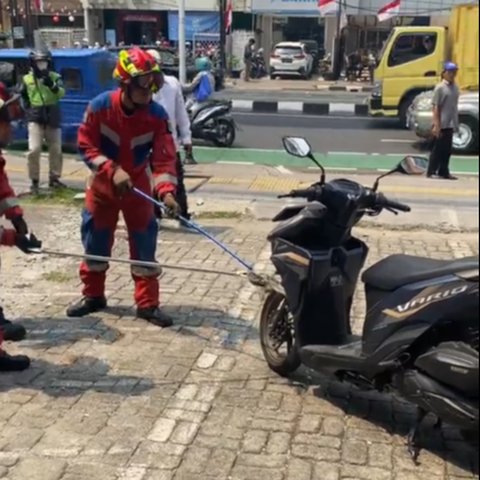 Wanita di Jakarta Ini Kaget Temukan Ular Besar Sembunyi di Motornya, Begini Penampakannya