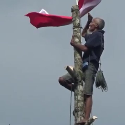 Tunjukkan Rasa Cinta Tanah Air, Kakek 76 Tahun di Sumbar Nekat Panjat Pohon 80 Meter Demi Kibarkan Bendera Merah Putih