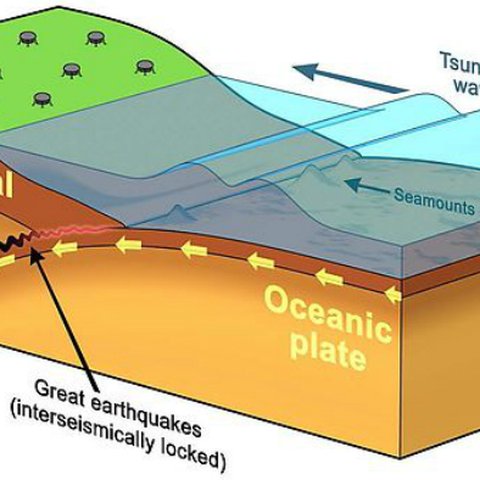 Rawan Terjadi Gempa Megathrust dan Tsunami Besar, Ini Fakta Sejarah Gempa Bumi di Daerah Istimewa Yogyakarta