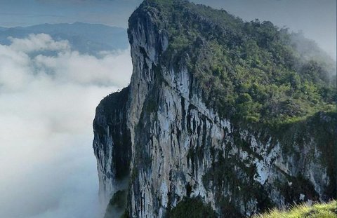 Eksotisme Tangga Menuju Langit di Tana Toraja, Bukit Batu Menjulang Melewati Awan