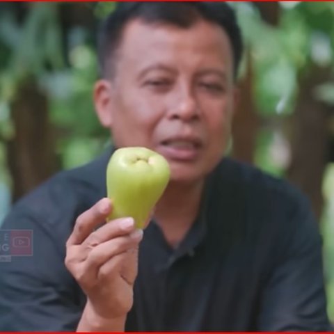 Resign dari Pekerjaan di Kapal Pesiar, Pria Asal Magelang Ini Sukses Bangun Surga Kebun Buah