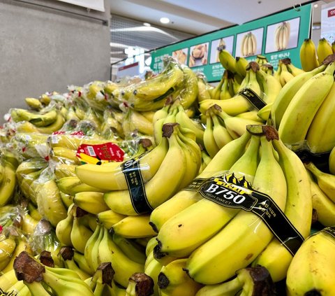 FOTO: Jadi Pertanda Buruk, Ini Penampakan Pohon Pisang yang Mulai Berbuah di Korea Selatan