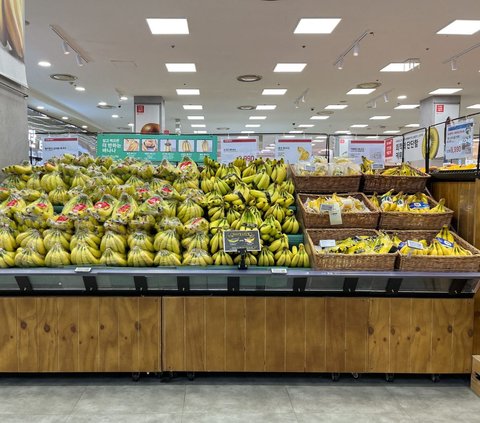 FOTO: Jadi Pertanda Buruk, Ini Penampakan Pohon Pisang yang Mulai Berbuah di Korea Selatan