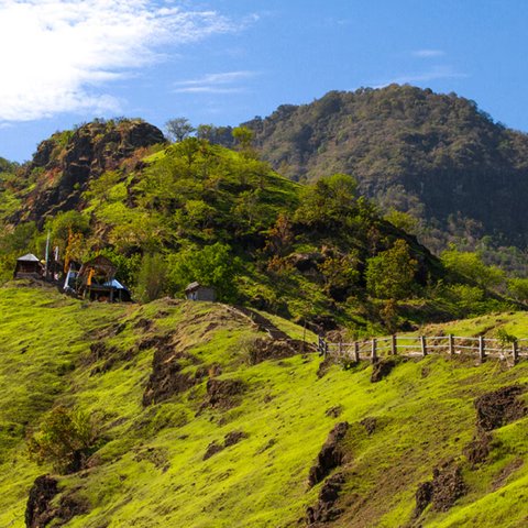 Eksotisme Desa Wisata Pemuteran, Surga Tersembunyi di Bali yang Jadi Kandidat Desa Wisata Dunia