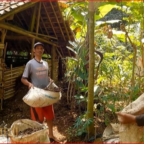 Melihat Kehidupan Warga Kampung Terpencil di Banjarnegara, Hanya Ada 6 Rumah