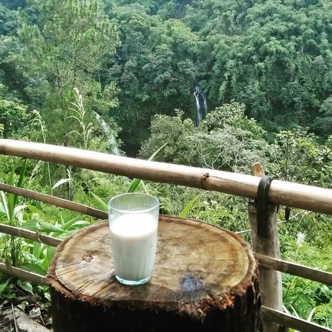 Rutenya Lintasi Gunung, Begini Pesona Cantik Curug Ciparay Tasikmalaya yang Tersembunyi