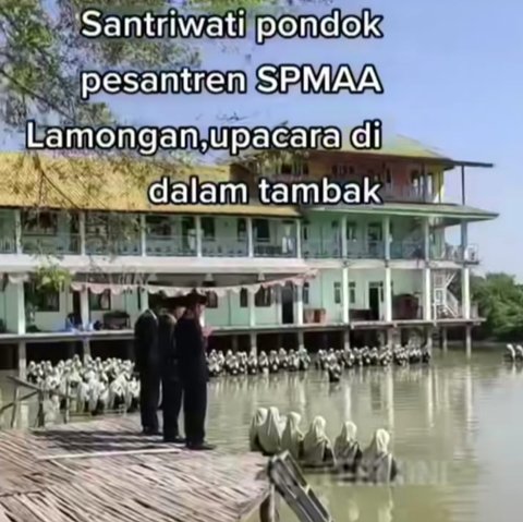 Viral Momen Santriwati Lamongan Upacara Bendera di Tambak Penuh Air, Potretnya Jadi Sorotan