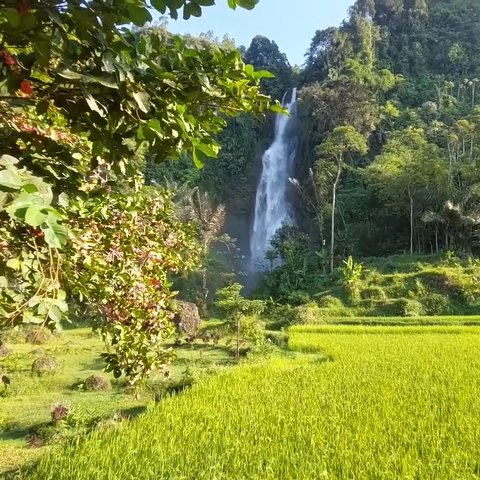 Halaman Rumahnya Langsung Berhadapan dengan Curug Eksotis, Begini Indahnya Kampung Lianggunung Cianjur