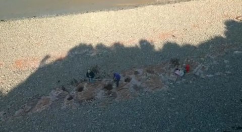 Jalan-Jalan di Pantai Bareng Ibunya, Bocah Ini Temukan Lima Tapak Kaki Dinosaurus Berusia 200 Juta Tahun