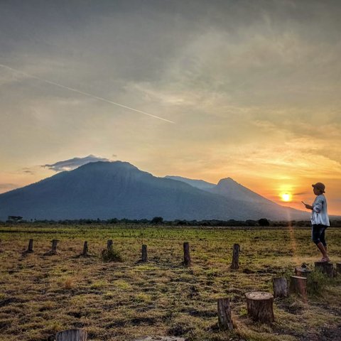 Transformasi Taman Nasional Baluran dari Masa ke Masa, Berawal dari Hutan Jati Kini Terkenal sebagai Africa Van Java