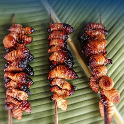 Mencicipi Sate Ulat Sagu Khas Raja Ampat, Kuliner Kaya Protein yang Bikin Ketagihan