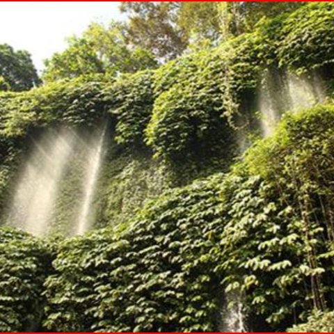 Terlihat Seperti Benang Raksasa yang Menggantung dari Ketinggian, Ini Fakta Unik Air Terjun Benang Kelambu di Lombok