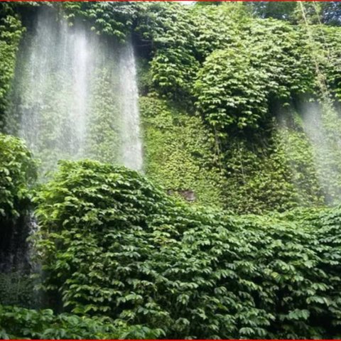 Terlihat Seperti Benang Raksasa yang Menggantung dari Ketinggian, Ini Fakta Unik Air Terjun Benang Kelambu di Lombok