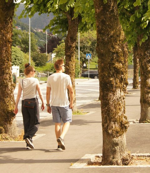 9 Alasan Anda Harus Mulai Berjalan Kaki dari Sekarang, Perbaiki Kesehatan Fisik dan Mental