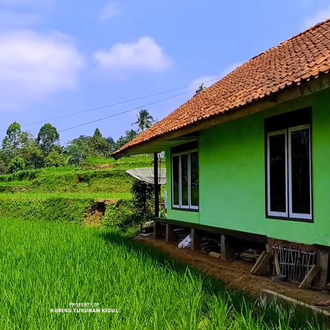 Kampung di Tasikmalaya Ini Bikin Betah, Posisinya di Tengah Sawah yang Dikelilingi Bukit Terasering Hijau