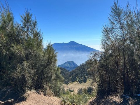 Modal Nekat, Intip Foto-foto Keseruan Keisya Levronka Naik Gunung Butak di Jawa Timur