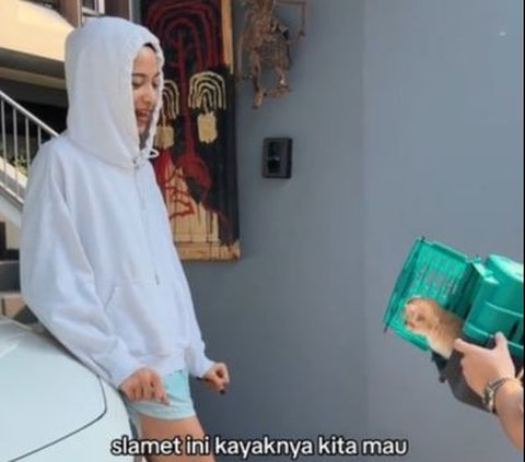 Potret Kucing Baru Chicco Jericho dan Putri Marino Jadi Sorotan Netizen