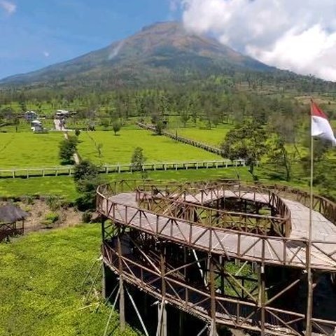 Pesona Kebun Teh Sikatok, Wisata Edukatif di Lereng Gunung Sindoro dan Surga Bagi Pecinta Fotografi