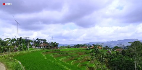 Bikin Pembeli Terlena, Warung Kopi di Kampung Terpencil Tasikmalaya Ini Suguhkan Pemandangan Sawah Hijau dan Bukit Berkabut