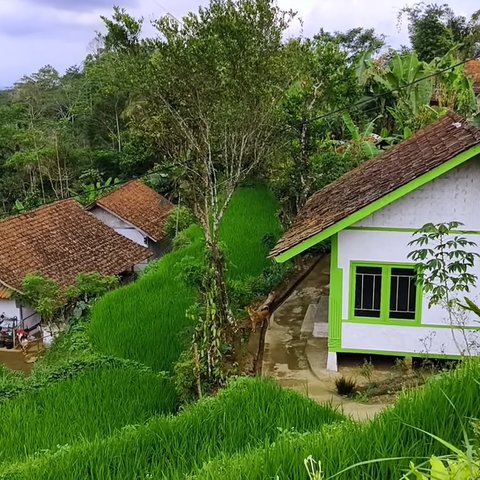 Bikin Pembeli Terlena, Warung Kopi di Kampung Terpencil Tasikmalaya Ini Suguhkan Pemandangan Sawah Hijau dan Bukit Berkabut