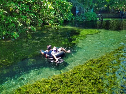 Eksotisme Kolam Renang Alami Sebening Kaca di Malang, Pemandangan Bawah Airnya Menakjubkan