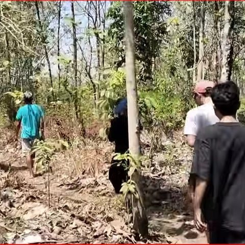 Melihat Tradisi Unik di Pelosok Hutan Jati Grobogan, Hanya Digelar Dua Tahun Sekali