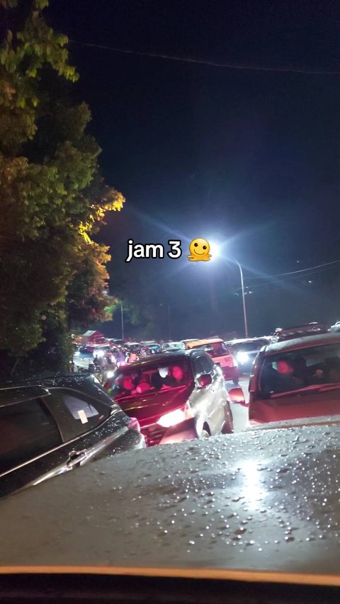 Wanita Ini Terjebak Macet selama 16 Jam di Jalur Puncak Bogor, Curhatannya Viral