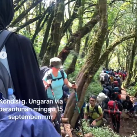 Tak Cuma Puncak, Potret Jalur Pendakian Gunung Ramai dan Macet Melihatnya Bikin Sesak